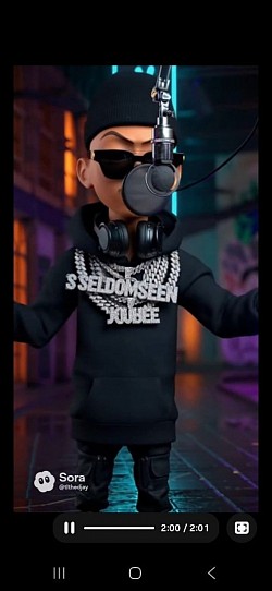 SELDOMSEEN